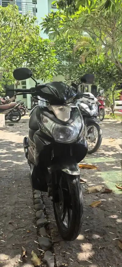 Suzuki Hayat