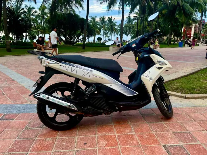 Yamaha Nouvo 6