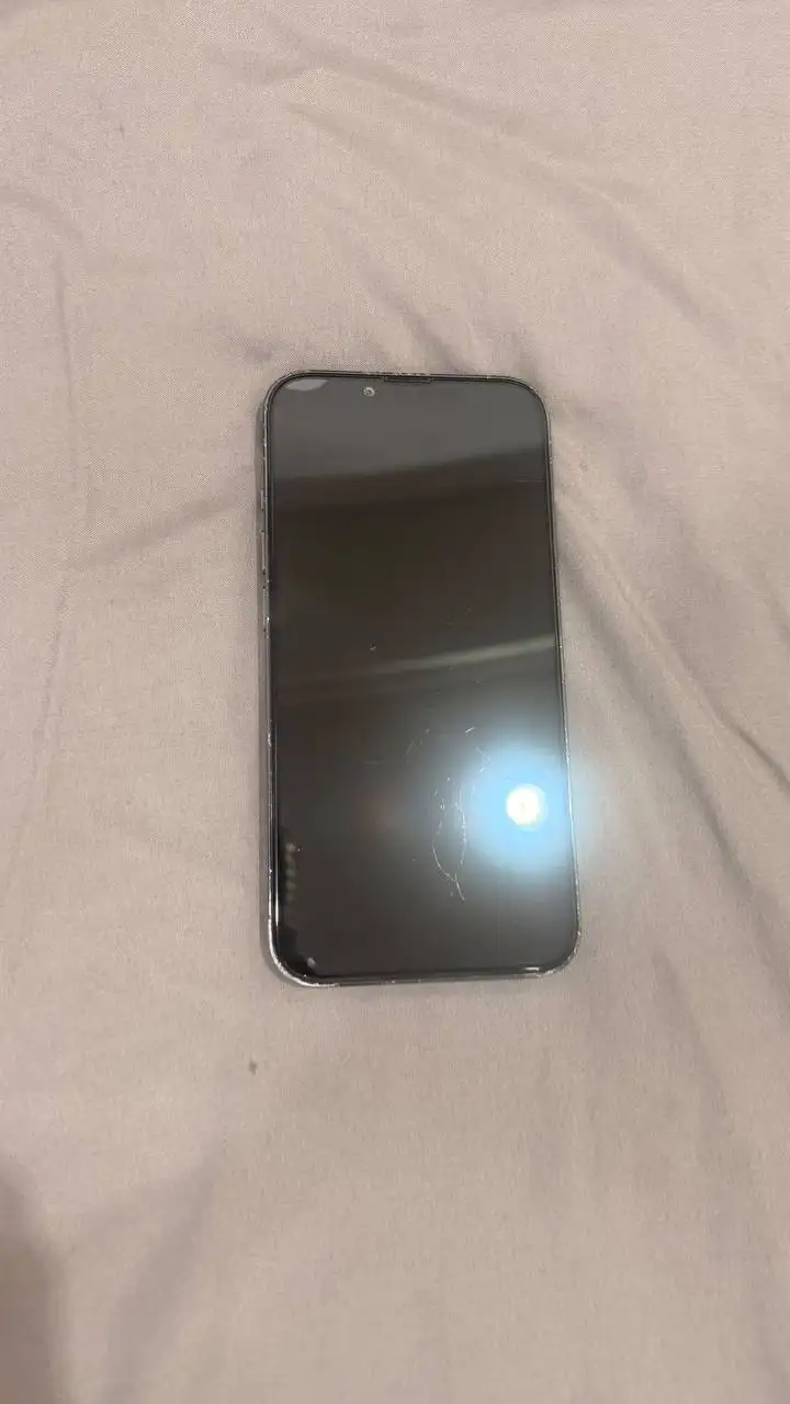 iPhone 13 Pro 256 ГБ