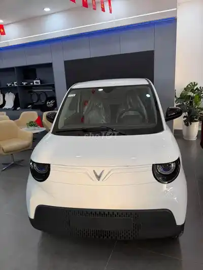 VINFAST VF2 — ПОЛНОЦВЕТНЫЙ, ТОЧЕЧНЫЙ