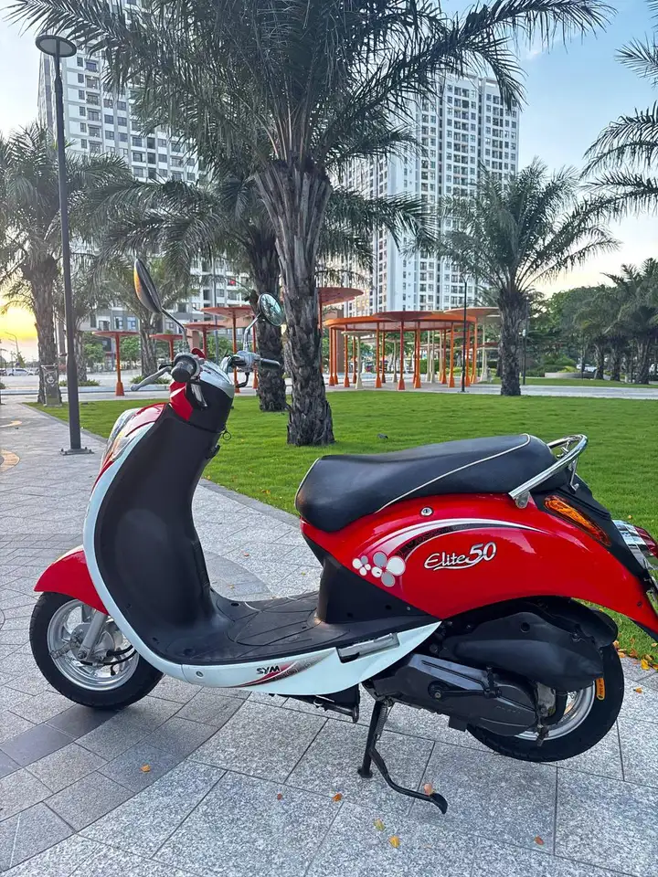 Sym Elite 50cc 2019