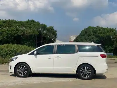 Масляный двигатель Kia Sedona 2018 белый