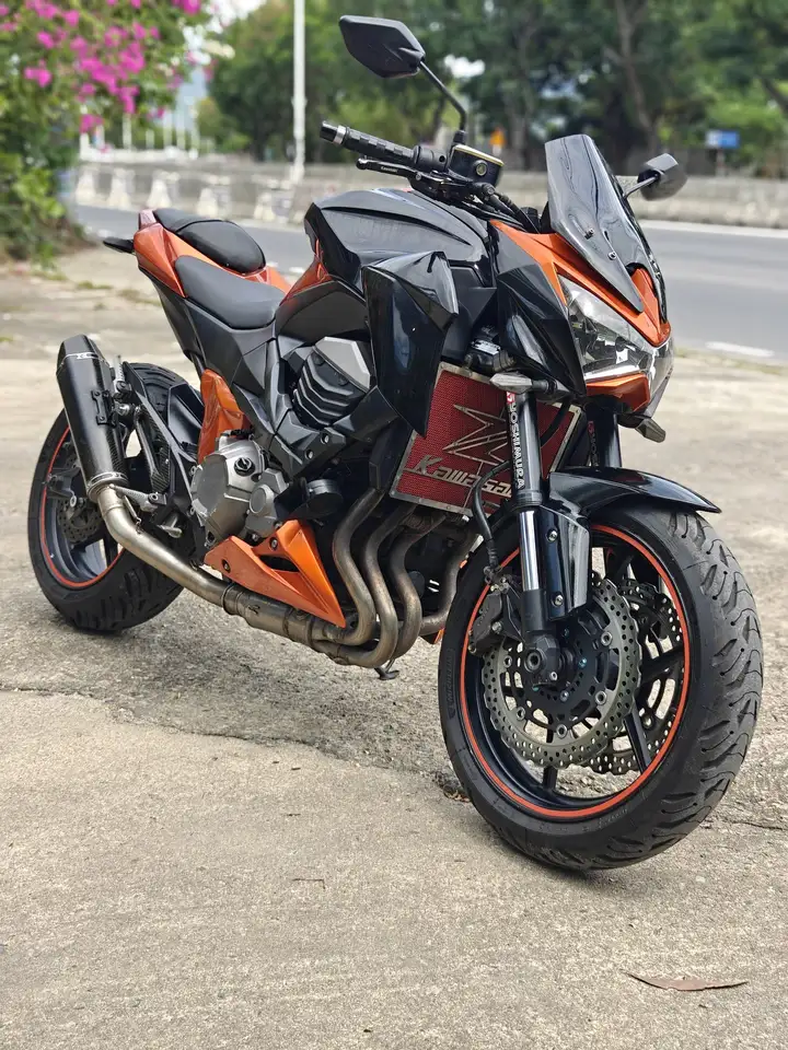 Kawasaki Z800 2017