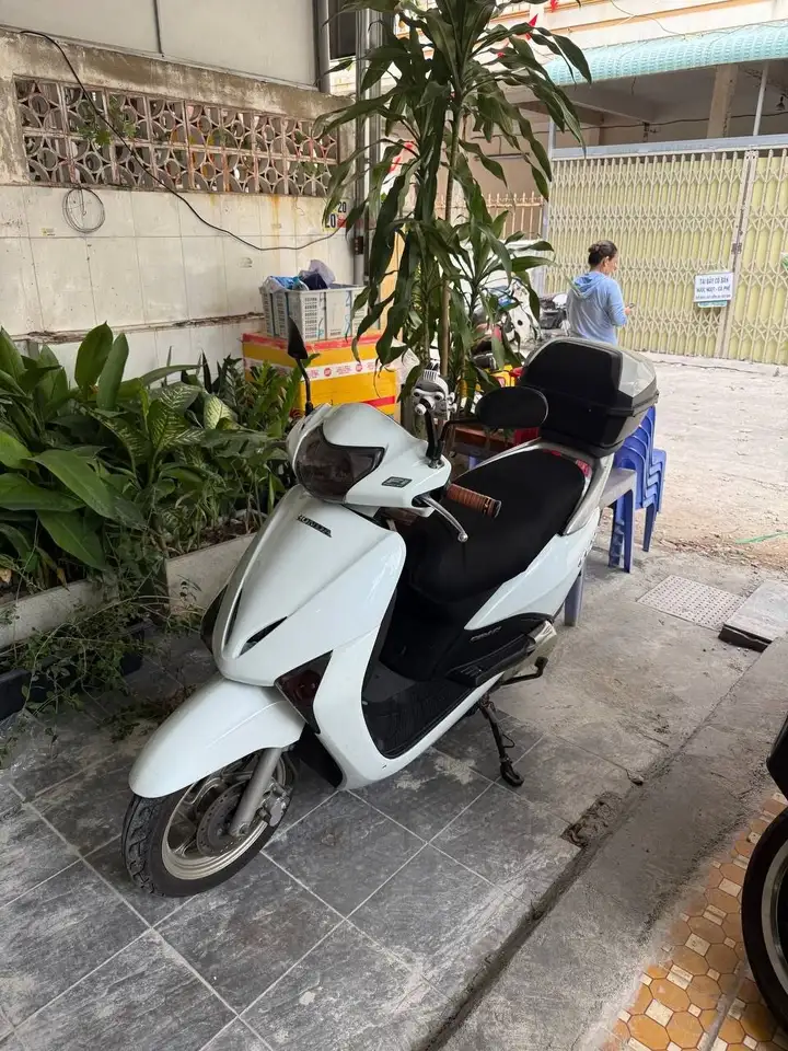 Honda Lead 110 cc