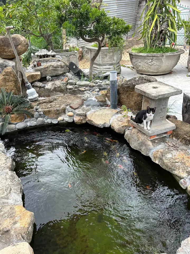 Дом на частной территории в районе Vinh Hoa