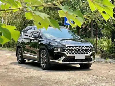 Масло Hyundai SantaFe Premium 2022 1 тыс. км