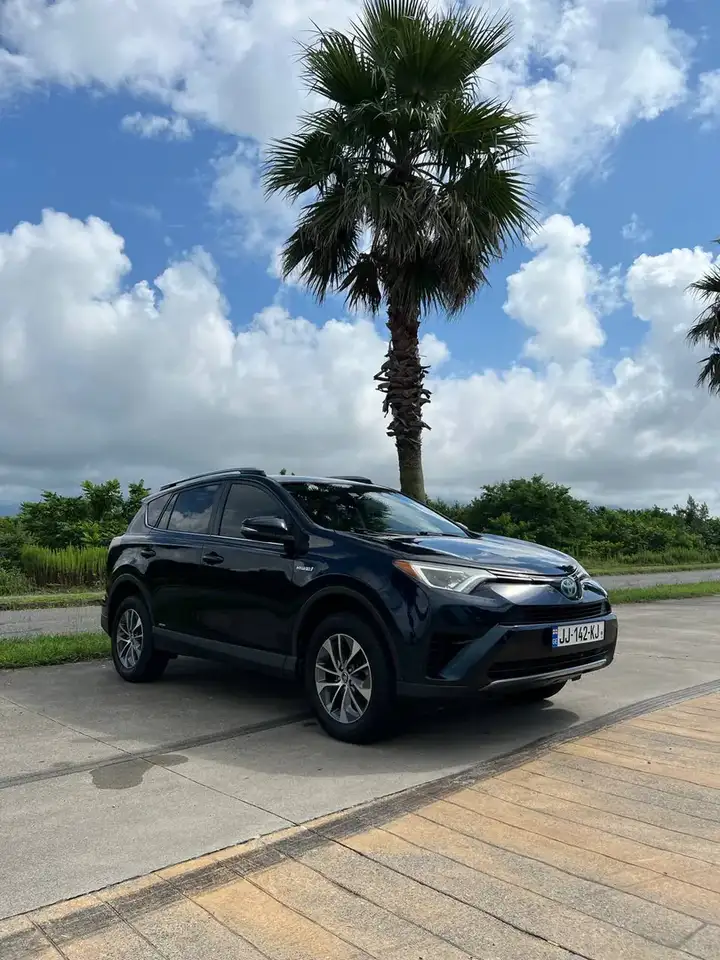 Toyota RAV4 Hybrid 2018
