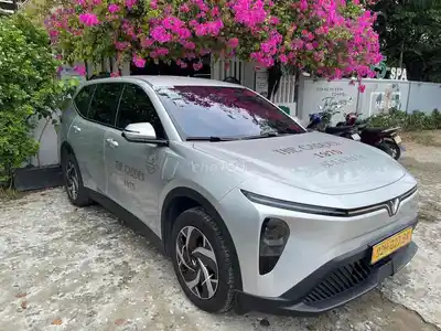 VinFast Limo green 15.000 km, серебристый