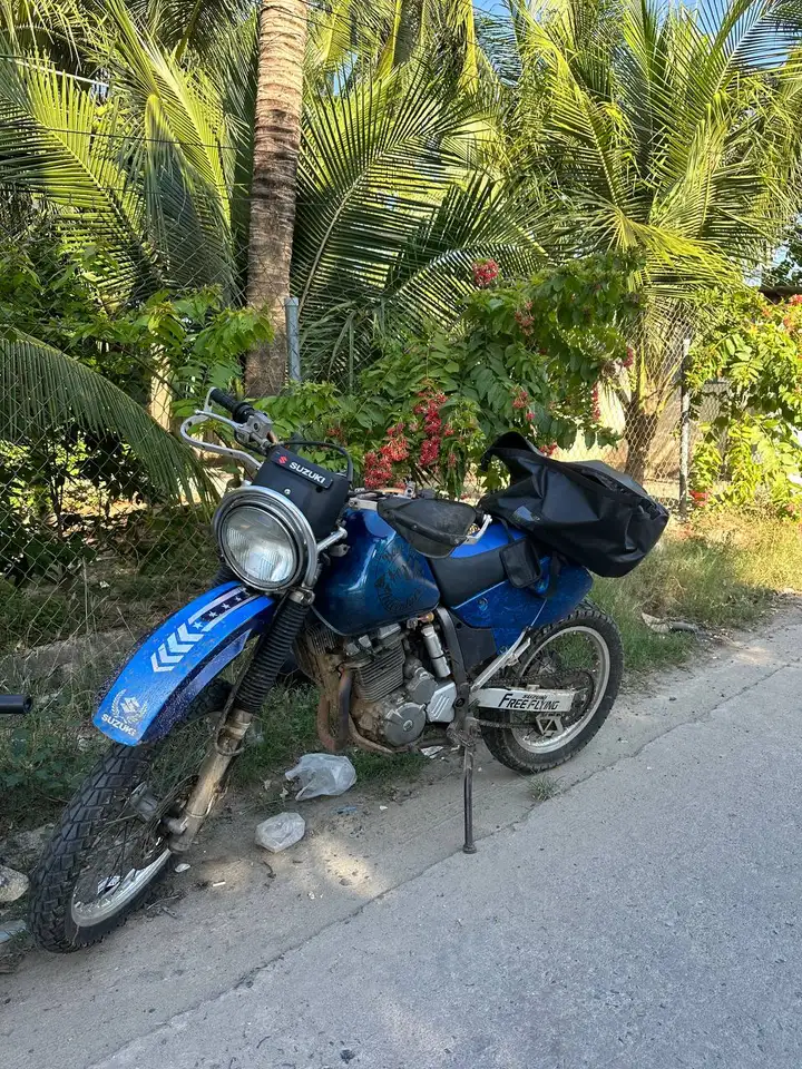 Suzuki Djebel 250