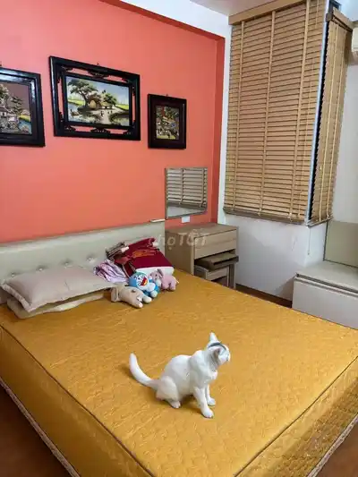 Дом в аренду Ле Куанг Дао, Нам Ту Лием, 40м2, 4 этажа