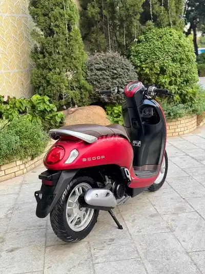 Honda Scoopy 110fi 2024, оформление и новый номер за счёт покупателя