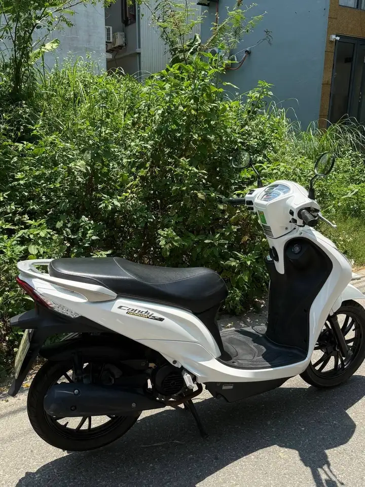 Candy 50cc 2023