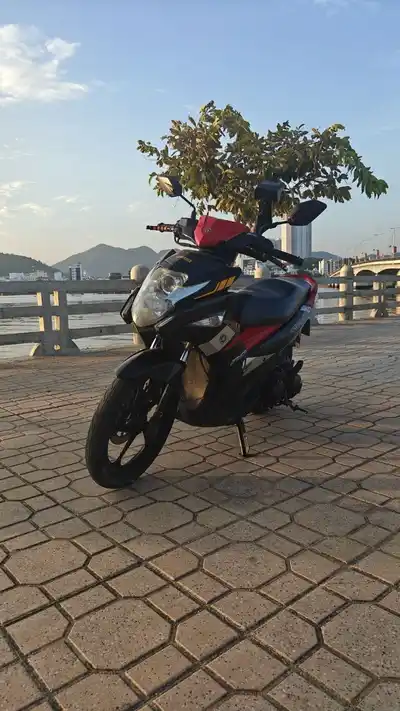 Yamaha Nouvo 6