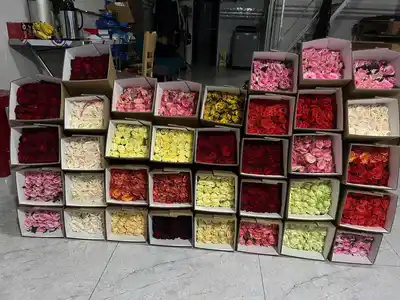 Розы оптом
