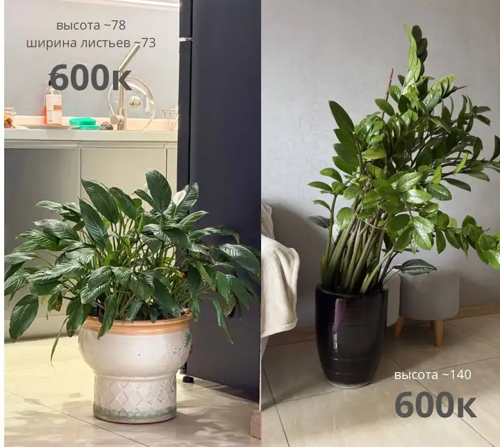 Продажа домашней утвари и вещей