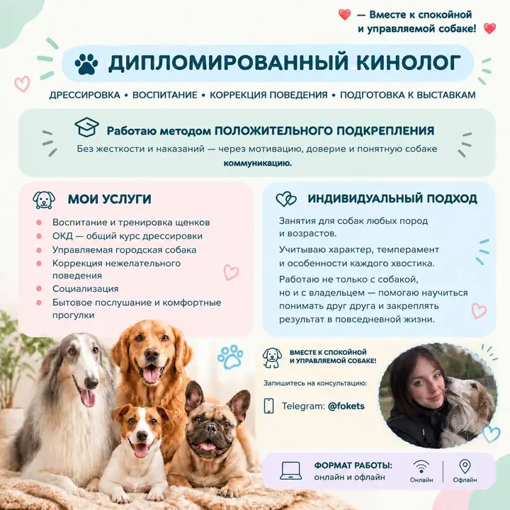Услуги кинолога: воспитание, обучение и коррекция поведения собак