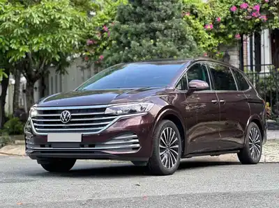 Volkswagen Viloran Luxury 2024 Коричневый 43 000 км