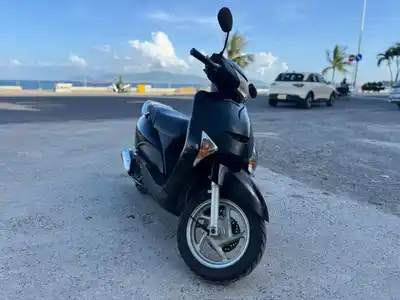 Honda SCR 2010