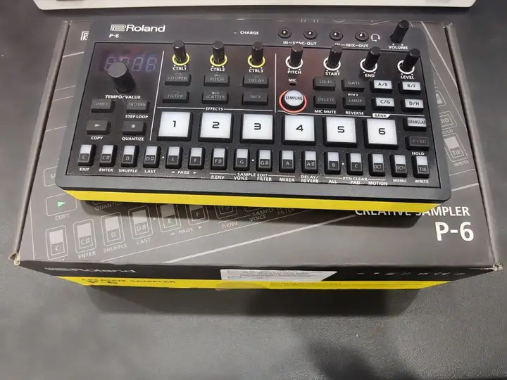 Roland P6