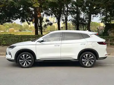 BYD Sealion 6 Выпуск 07.2026 Premium 7000км Белый