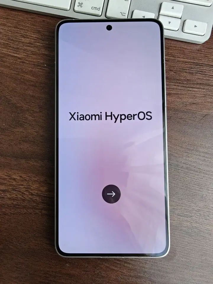 Xiaomi 14T Pro 12/256