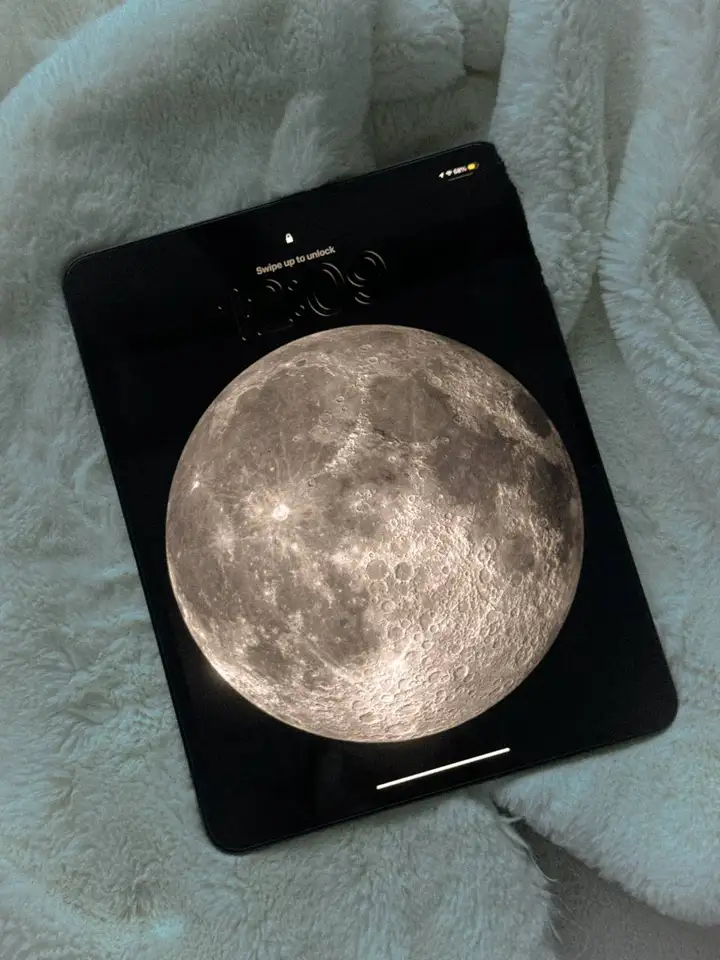 iPad Pro M4 13" (512 GB)