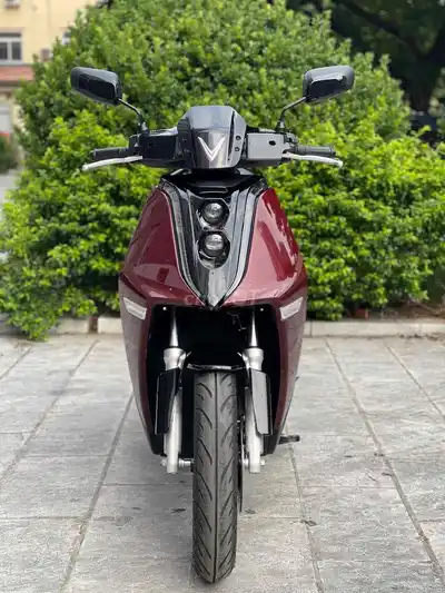 Vinfast Theon S 2026 Красный 300 км