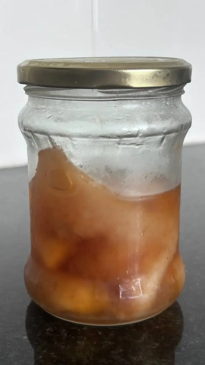 SCOBY (чайный гриб) с рецептом комбучи
