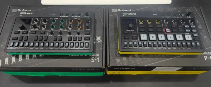 Roland S1 и P6