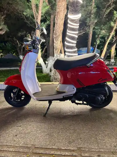 SCOOPY Crea