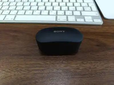 Sony WF-1000XM4