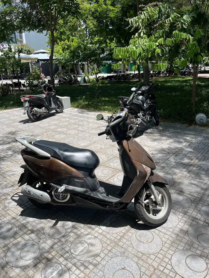 Honda Lead 110