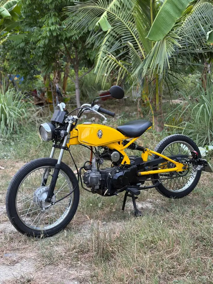 Solowins 110cc