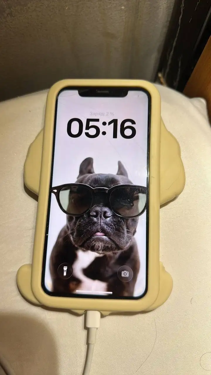 iPhone 11 64 GB