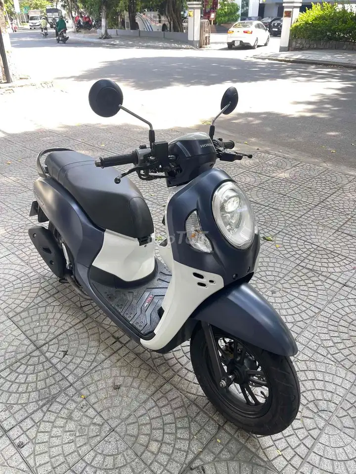 Honda Scoopy 2024 белый, серый