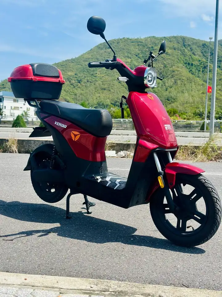 Electric bike Vadea Vekoo 2 с кофром