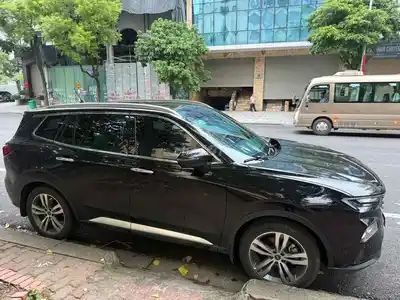 Ford Teritory Titanium X 2024 чёрный 26 000 км