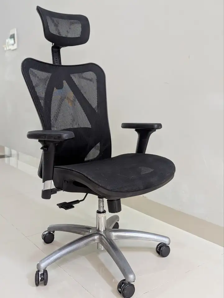Эргономичное кресло Sihoo M57