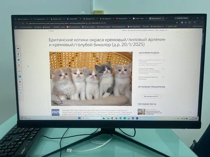 Монитор MSI Optix G241V E2 24"