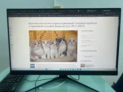 Монитор MSI Optix G241V E2 24"