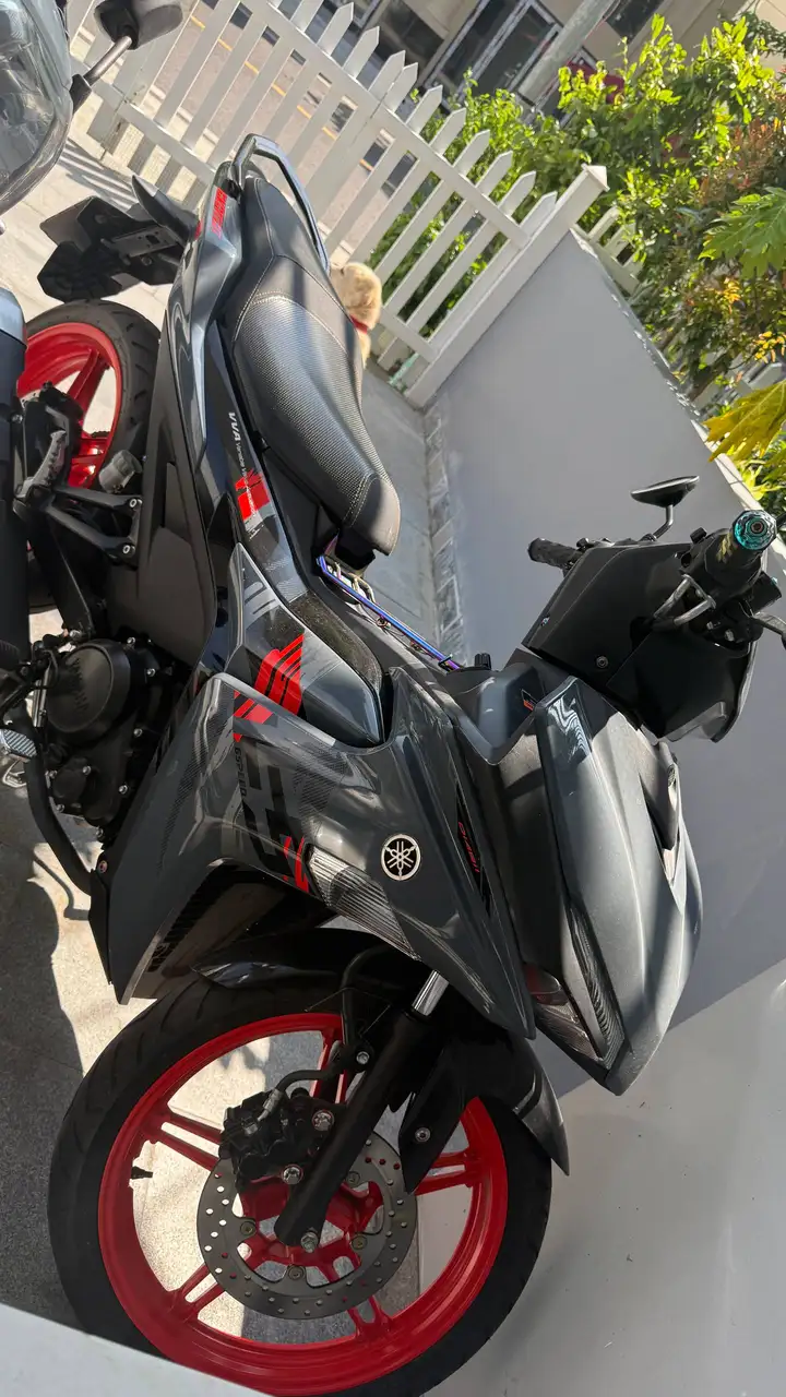 Exciter 155