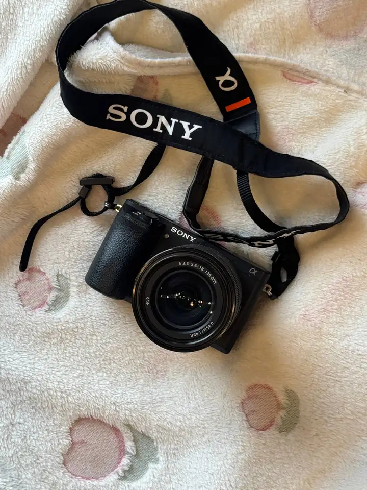 Sony Alpha 6500 + объектив Sony 18-135mm OSS