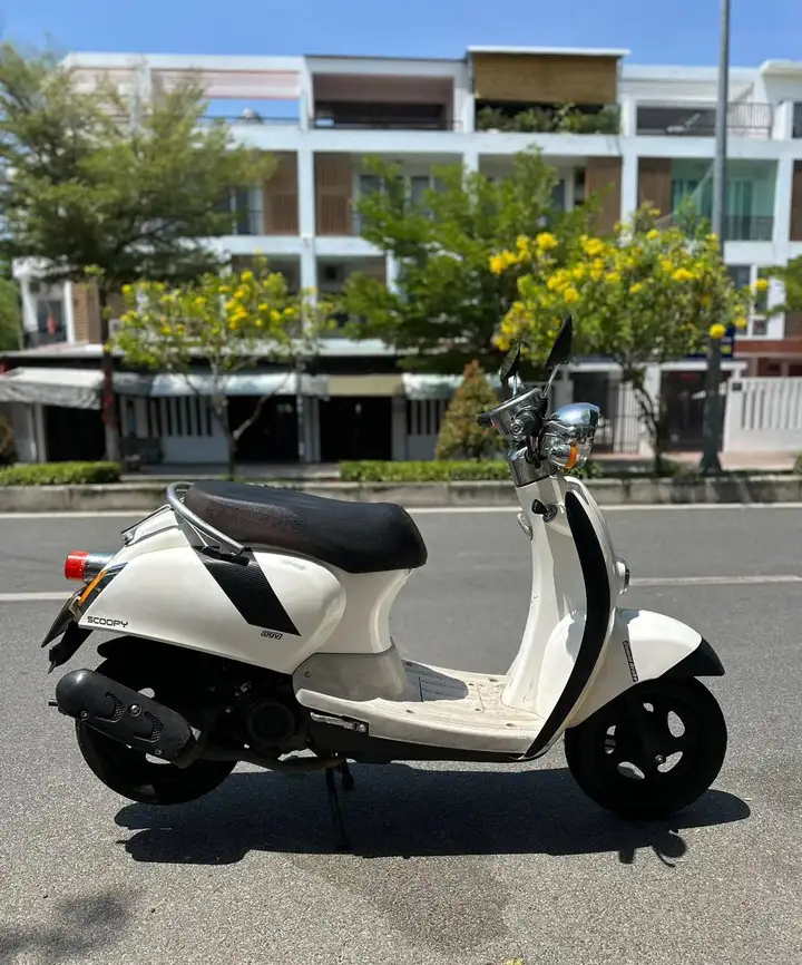 Crea 50 CC / Scoopy 50cc 2019