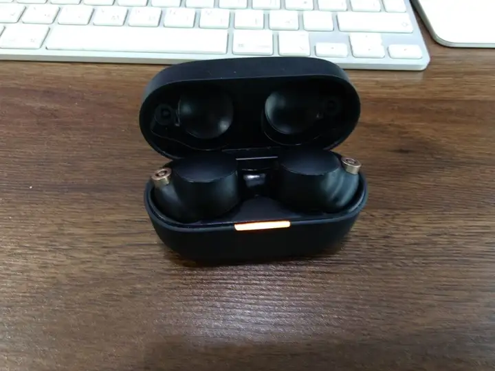 Sony WF-1000XM4